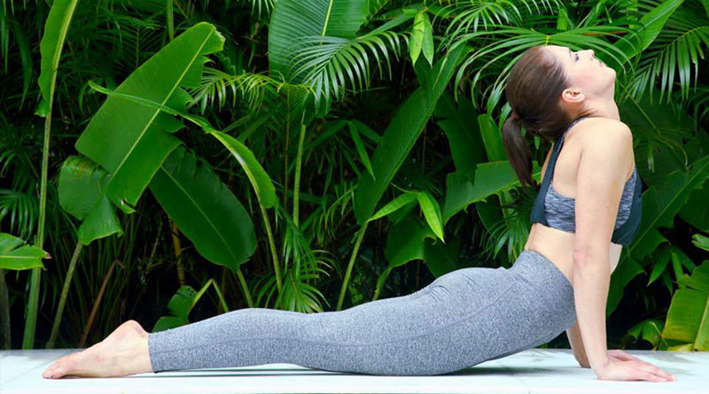 Carnoustie Ayurveda & Wellness Resorts | Best Ayurveda Resort in Kerala