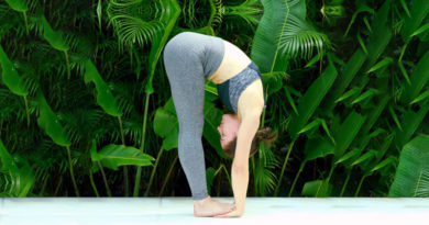 Carnoustie Ayurveda & Wellness Resorts | Best Resort in Kerala