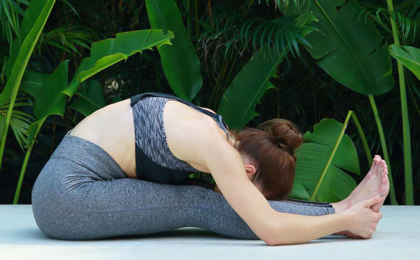 Carnoustie Ayurveda & Wellness Resorts | Best Ayurveda Resort in Kerala