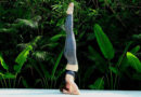Carnoustie Ayurveda & Wellness Resorts | Best Resort in Kerala